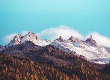 开云体育官网：开启你的智能体育娱乐新纪元